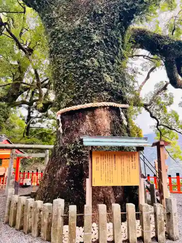 熊野那智大社の{uncategorized: "未分類", other: "その他", undefined: "問題あり", building: "その他建物", grave: "お墓", sacred_gate: "鳥居", guardian: "狛犬", statue: "像", buddha: "仏像", history: "歴史", nature: "自然", garden: "庭園", animal: "動物", pagoda: "塔", temizu: "手水舎", mountain_gate: "山門・神門", sanctuary: "本殿・本堂", subordinate: "末社・摂社", art: "芸術", scenery: "景色", jizo: "地蔵", ema: "絵馬", goshuin: "御朱印", omikuji: "おみくじ", items: "授与品その他", amulet: "お守り", goshuincho: "御朱印帳", eats: "食事", festival: "お祭り", votive_dance: "神楽", shichigosan: "七五三参", wedding: "結婚式", experience: "体験その他", initially: "初詣", around: "周辺", anti_infection: "感染症対策"}