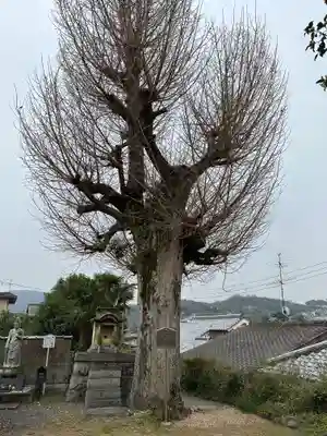 橋寺 放生院(京都府)