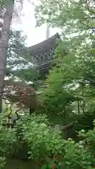 道場寺の建物その他