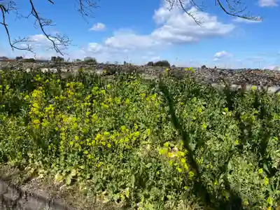 大前神社(栃木県)