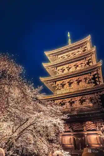 東寺（教王護国寺）の塔