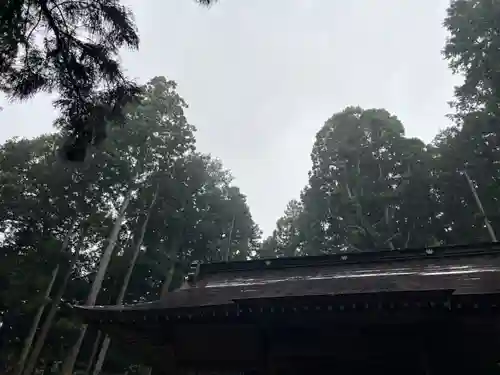大宮温泉神社(栃木県)