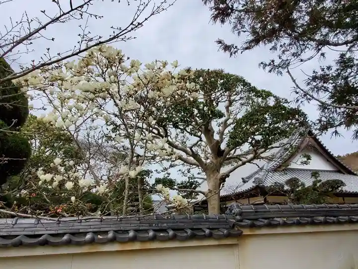 福智院のその他建物