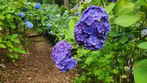高林寺(福島県)