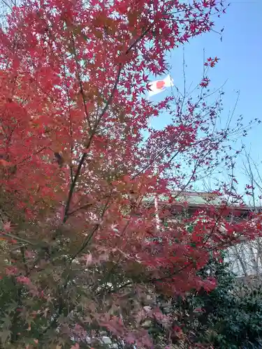 伊豫豆比古命神社の自然