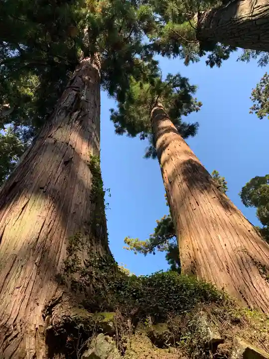 三島神社の自然