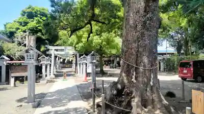 芳川神社(埼玉県)
