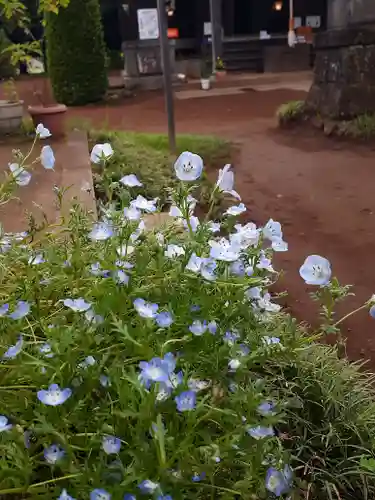 伏木香取神社(茨城県)