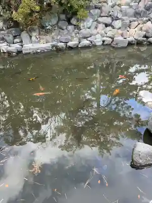 西宮神社(兵庫県)