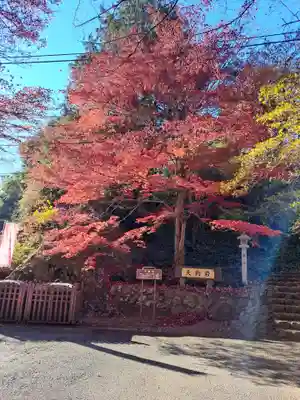 唐澤山神社(栃木県)