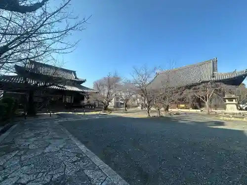 立本寺の{uncategorized: "未分類", other: "その他", undefined: "問題あり", building: "その他建物", grave: "お墓", sacred_gate: "鳥居", guardian: "狛犬", statue: "像", buddha: "仏像", history: "歴史", nature: "自然", garden: "庭園", animal: "動物", pagoda: "塔", temizu: "手水舎", mountain_gate: "山門・神門", sanctuary: "本殿・本堂", subordinate: "末社・摂社", art: "芸術", scenery: "景色", jizo: "地蔵", ema: "絵馬", goshuin: "御朱印", omikuji: "おみくじ", items: "授与品その他", amulet: "お守り", goshuincho: "御朱印帳", eats: "食事", festival: "お祭り", votive_dance: "神楽", shichigosan: "七五三参", wedding: "結婚式", experience: "体験その他", initially: "初詣", around: "周辺", anti_infection: "感染症対策"}