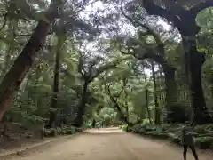 鹿島神宮の建物その他