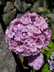 草薙神社の自然