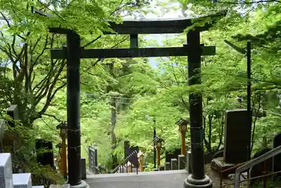 武蔵御嶽神社(東京都)