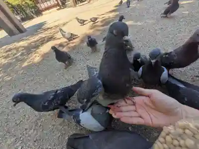 四柱神社(長野県)