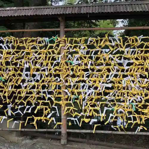 武蔵一宮氷川神社のおみくじ