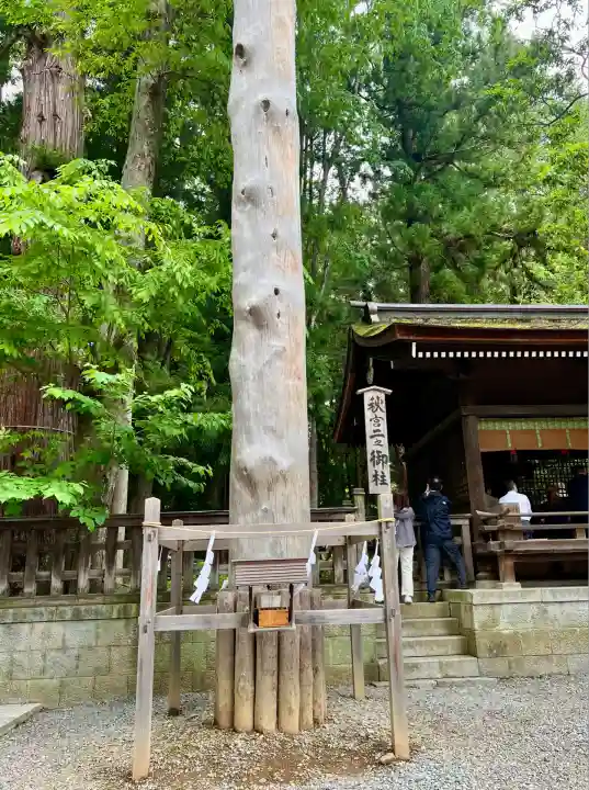 諏訪大社下社秋宮(長野県)