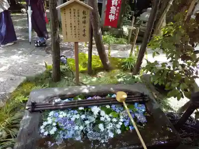 陽運寺の手水舎