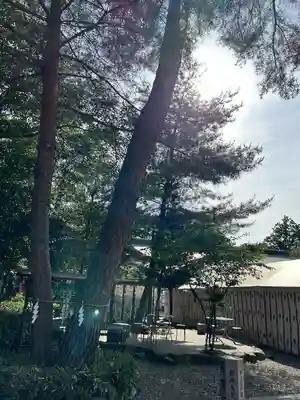 櫻木神社(千葉県)