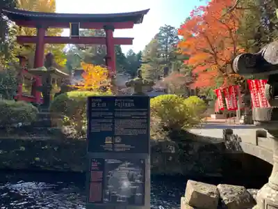 北口本宮冨士浅間神社の鳥居