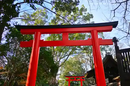 賀茂御祖神社（下鴨神社）(京都府)