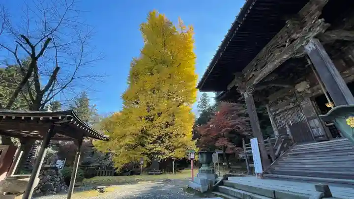 正法寺のその他建物