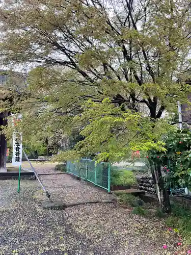 神光寺(岐阜県)