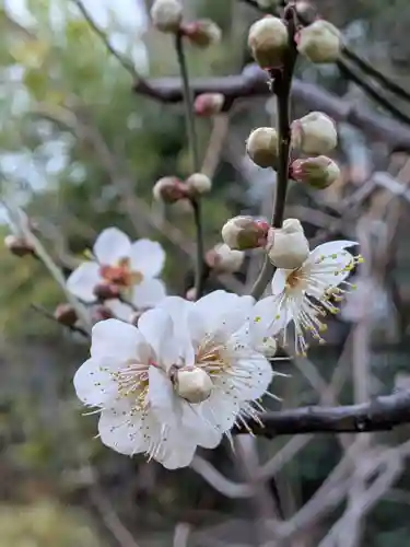 成子天神社(東京都)