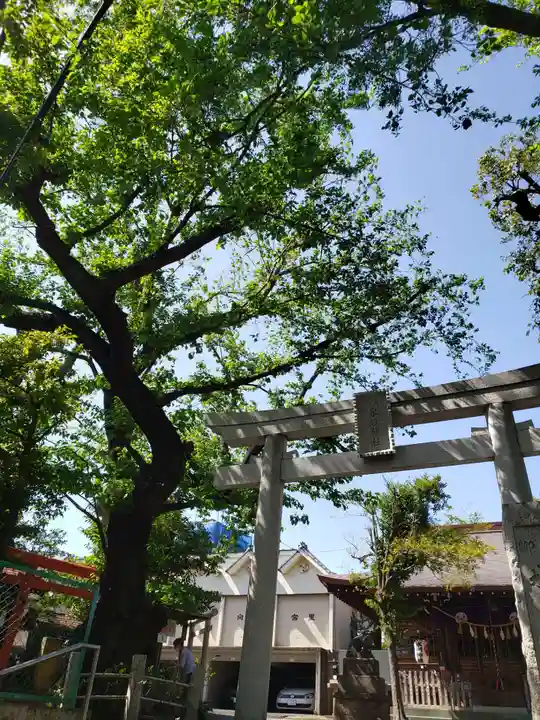 本郷氷川神社(東京都)