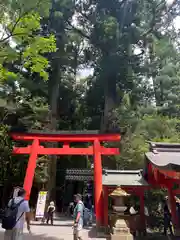 箱根神社(神奈川県)