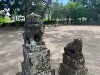 須賀神社の狛犬