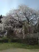 石内のお大師さん 金剛院(広島県)