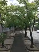 老松神社(福岡県)