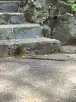 大山祇神社の動物