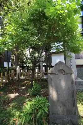 大鳥神社(東京都)