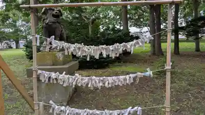 遠別神社のおみくじ