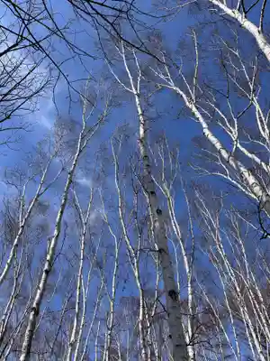 豊平神社の周辺