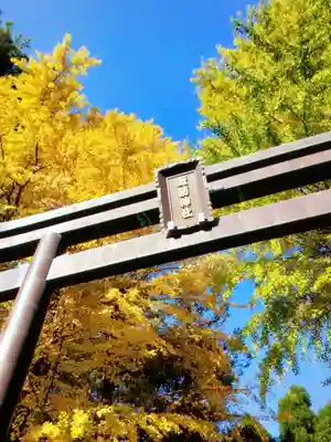 諏訪神社(東京都)