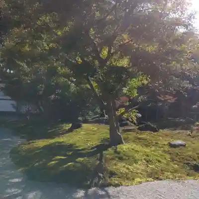 長壽寺（長寿寺）(神奈川県)