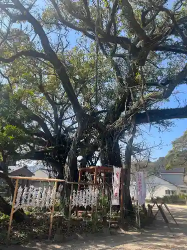 野島神社(宮崎県)
