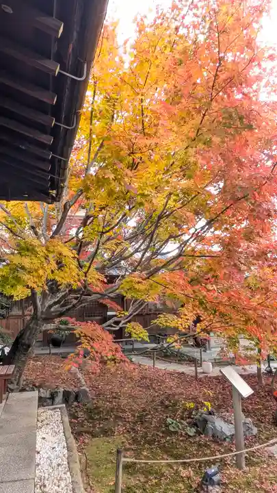 勝林寺(京都府)