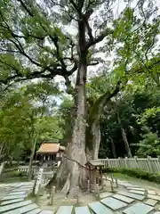 伊弉諾神宮(兵庫県)