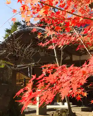 懐古神社(長野県)