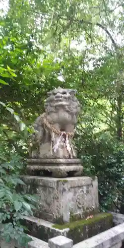 小椋神社の狛犬