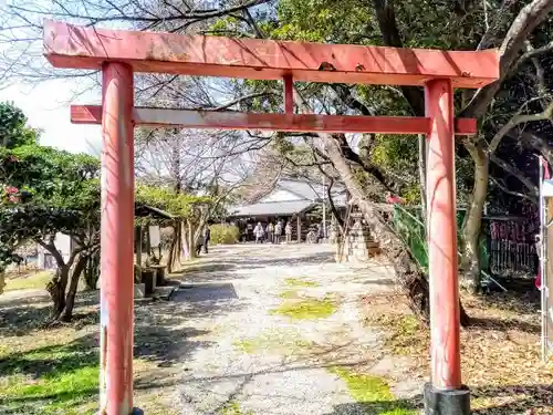 吉川稲荷神社の鳥居