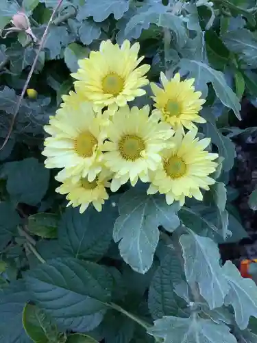 三輪神社の自然