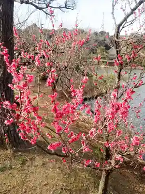 本牧神社(神奈川県)