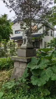 帯広三吉神社の狛犬