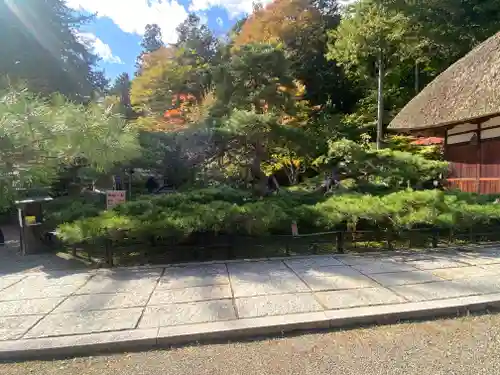 常楽寺(長野県)