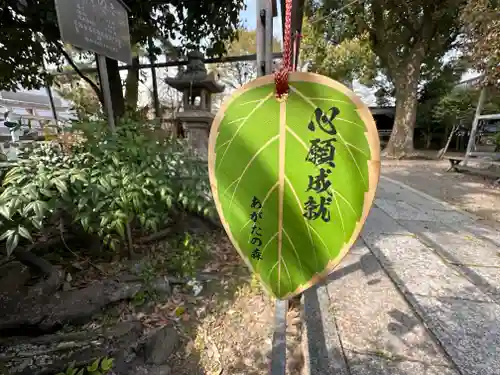 縣神社の御朱印